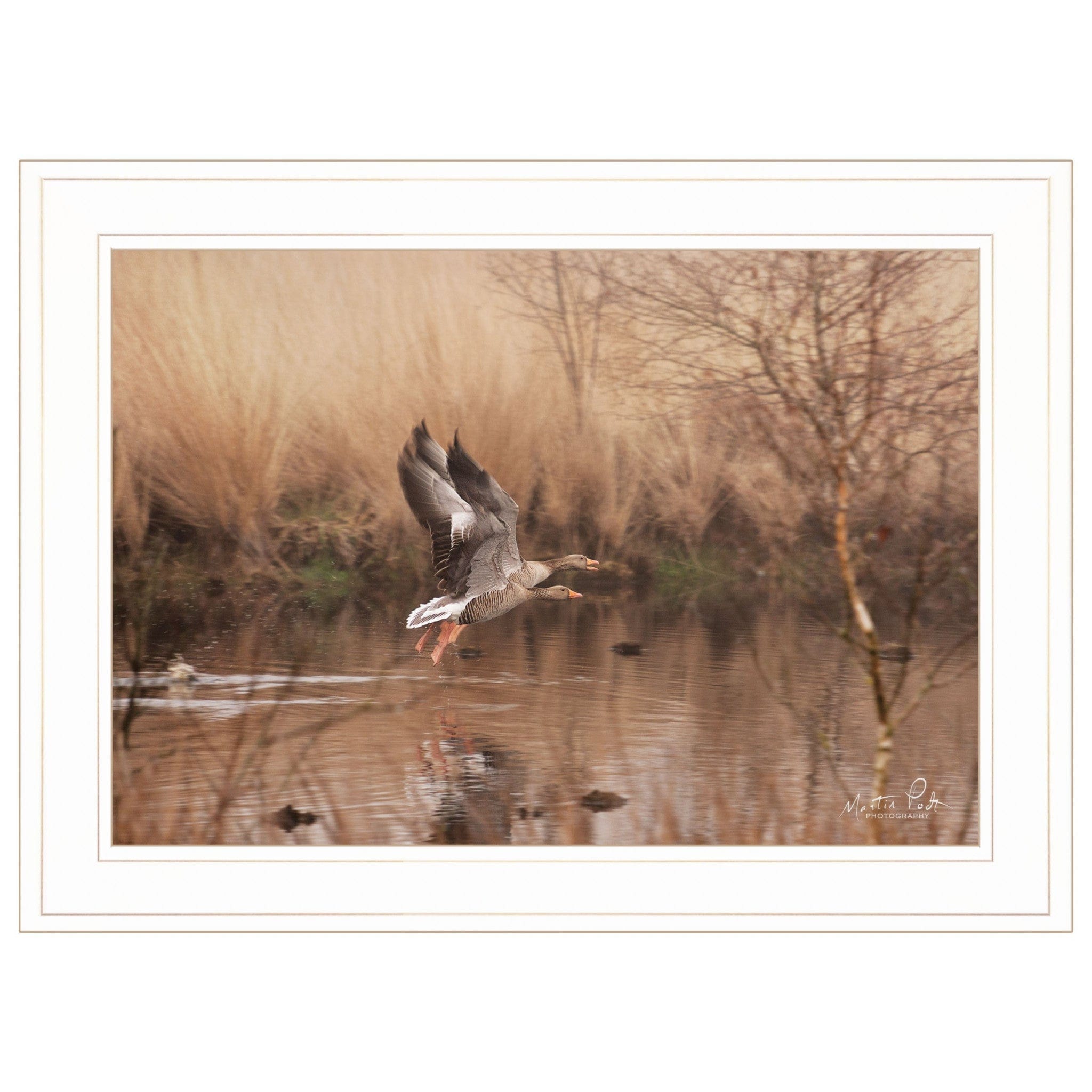 Fly Away 4 White Framed Print Wall Art - Homeroots