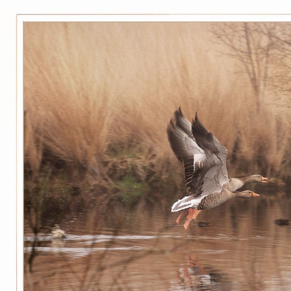Fly Away 4 White Framed Print Wall Art - Homeroots