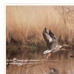 Fly Away 4 White Framed Print Wall Art - Homeroots