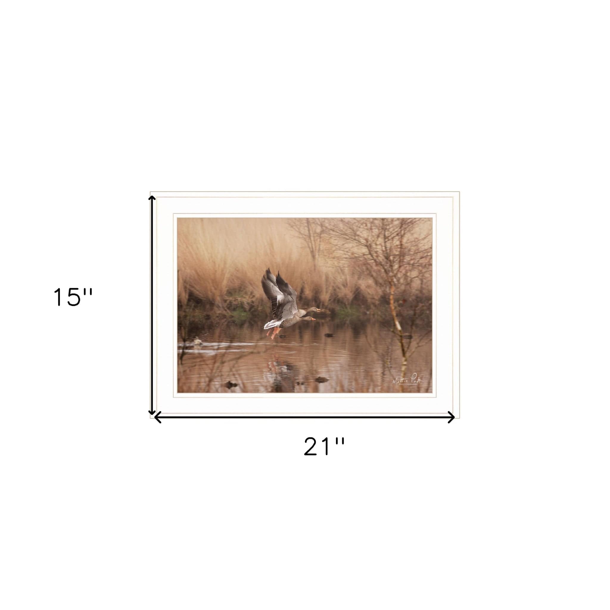 Fly Away 4 White Framed Print Wall Art - Homeroots