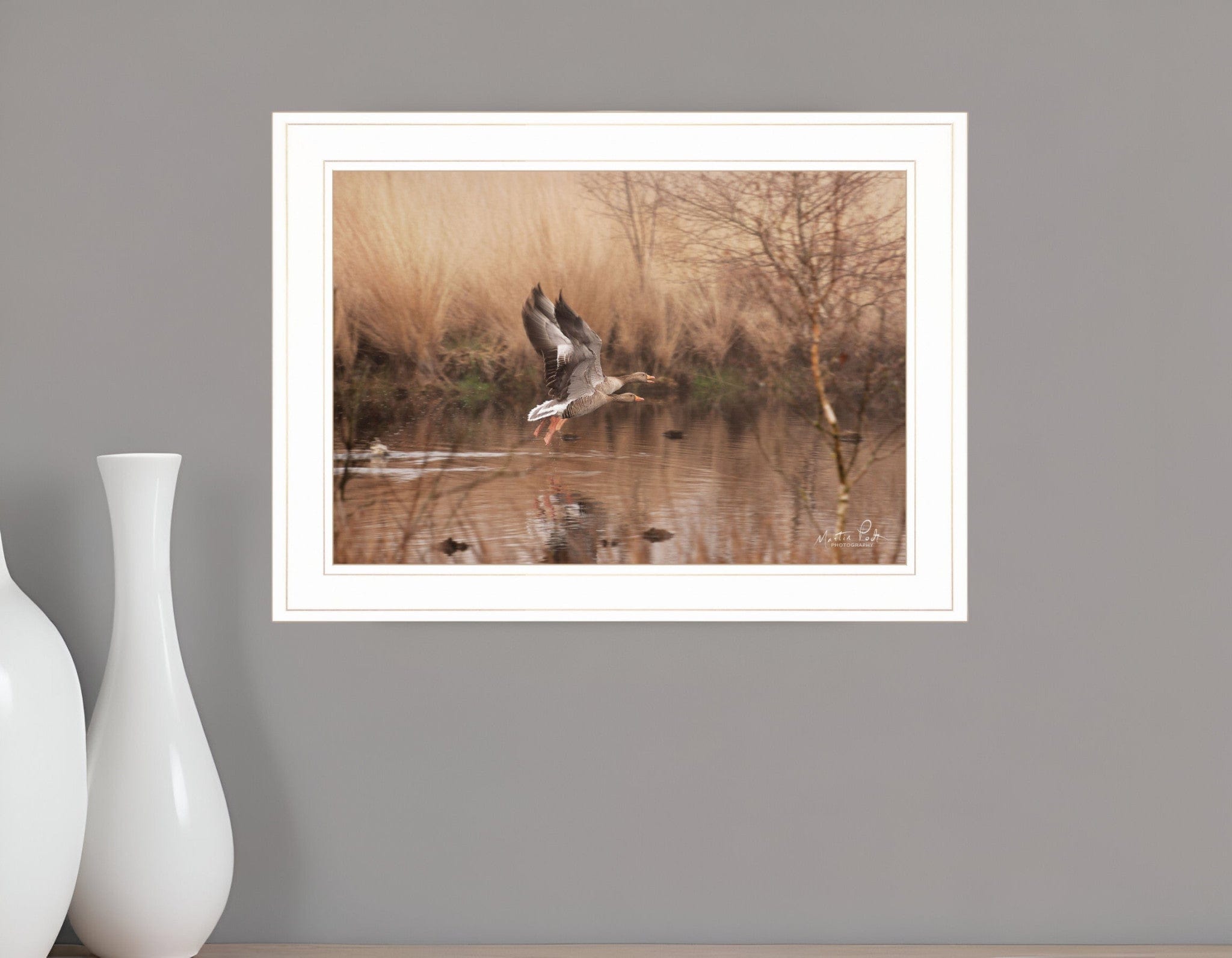 Fly Away 4 White Framed Print Wall Art - Homeroots
