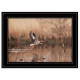 Fly Away 5 Black Framed Print Wall Art - Homeroots - Flyclothing LLC
