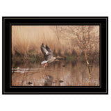 Fly Away 5 Black Framed Print Wall Art - Homeroots