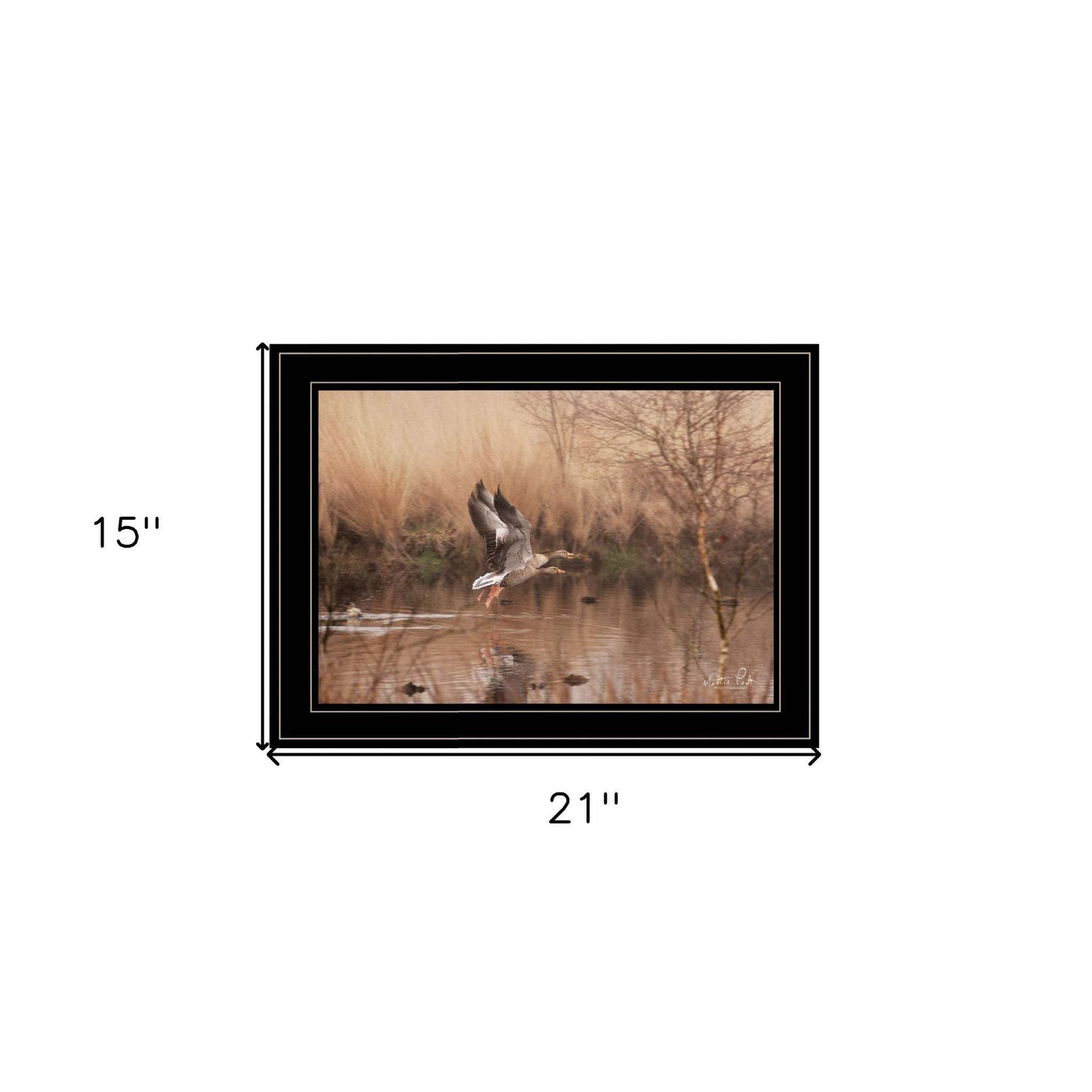Fly Away 5 Black Framed Print Wall Art - Homeroots - Flyclothing LLC