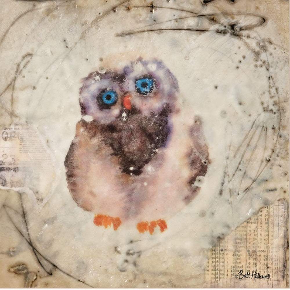 Set Of Two Wonder Years Owls 1 White Framed Print Wall Art - Homeroots - Flyclothing LLC