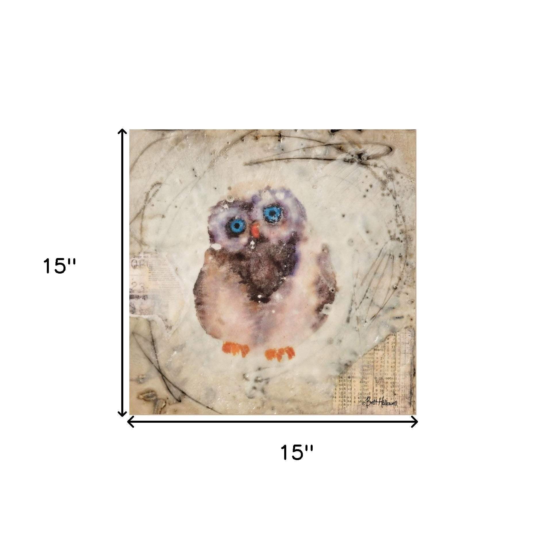 Set Of Two Wonder Years Owls 1 White Framed Print Wall Art - Homeroots - Flyclothing LLC