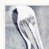 Set Of Two Pelican Party White Framed Coastal Wall Art - Homeroots - Flyclothing LLC