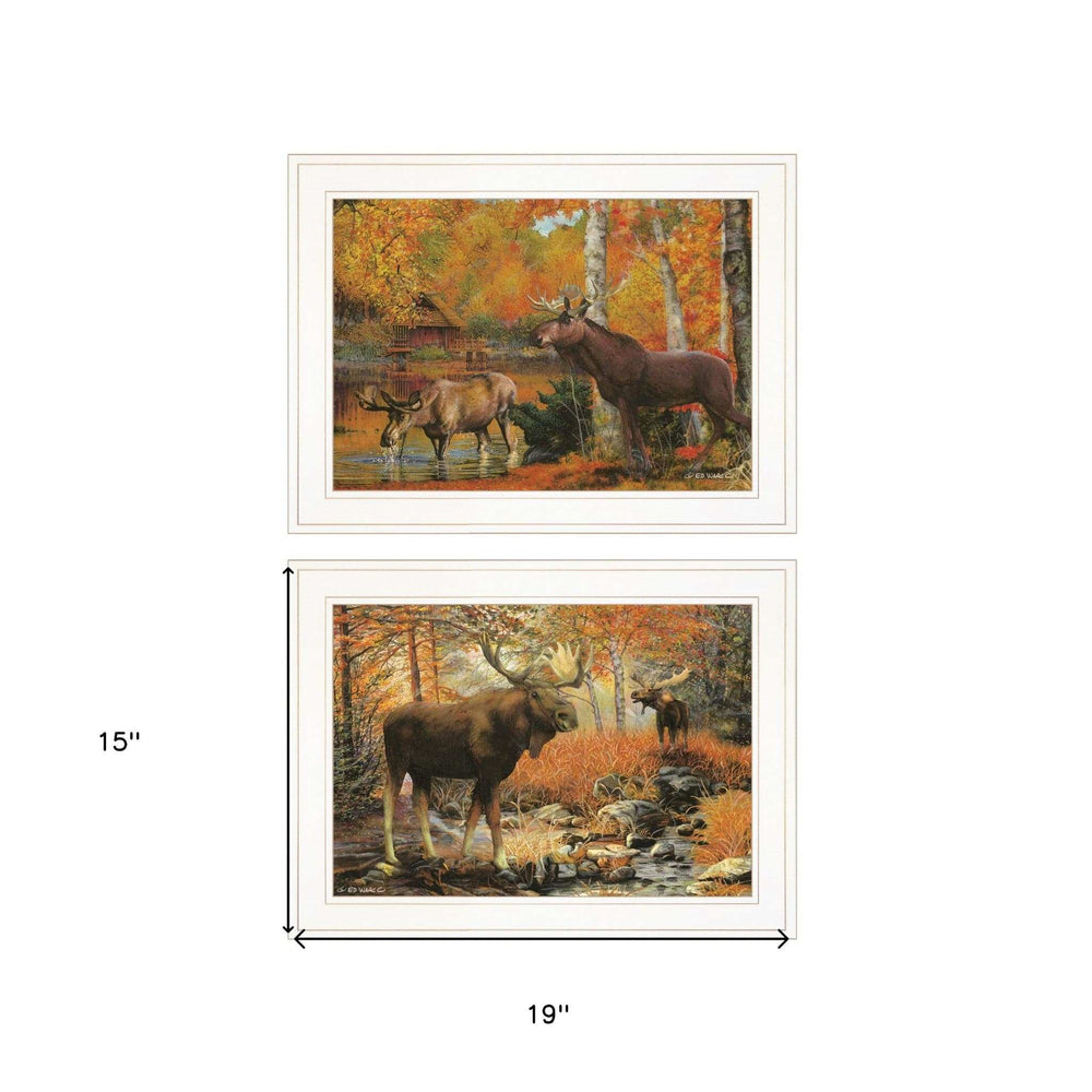 Set Of Two Call of the Wild 1 White Framed Print Wall Art - Homeroots - Flyclothing LLC