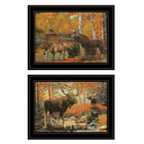 Set Of Two Great Outdoors 4 Black Framed Print Wall Art - Homeroots