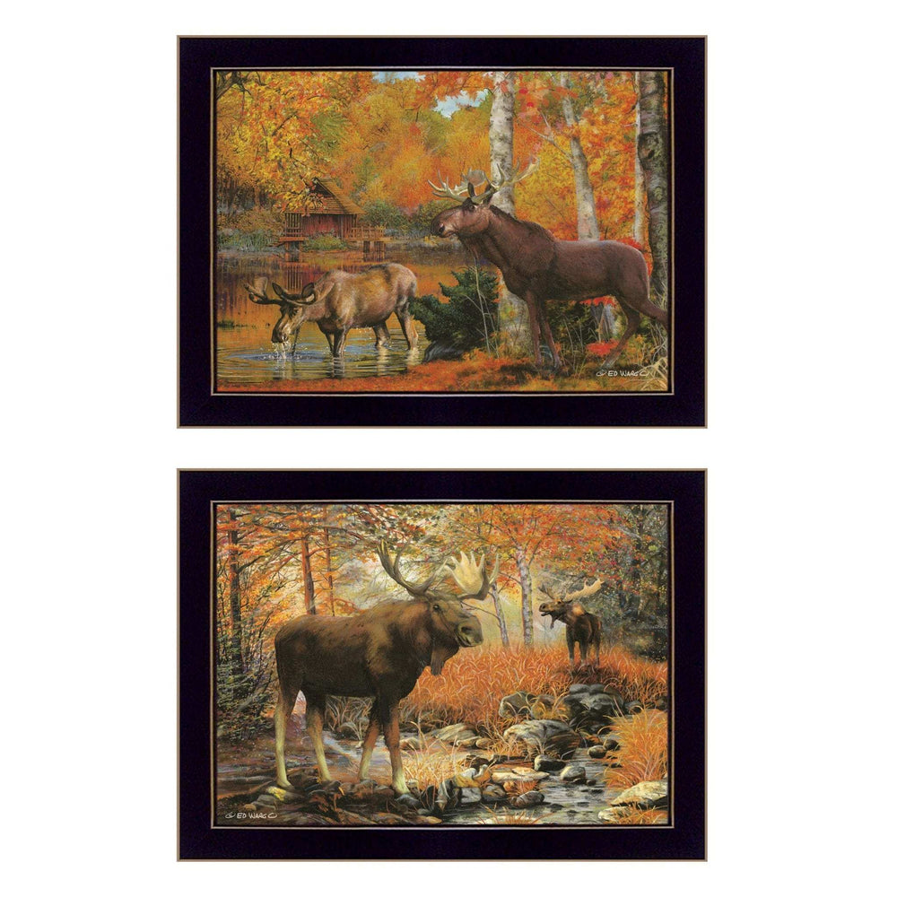 Set Of Two Call of the Wild 2 Black Framed Print Wall Art - Homeroots - Flyclothing LLC