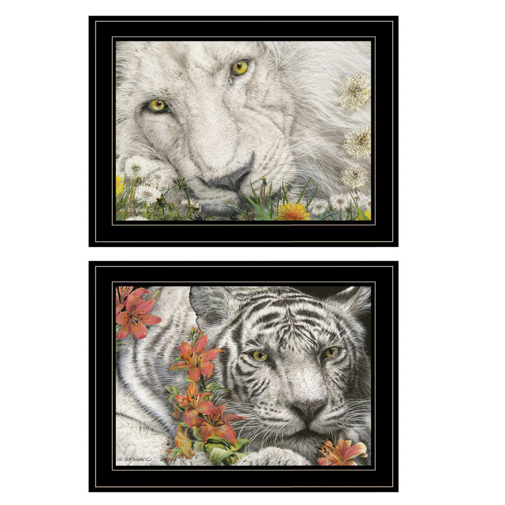 Set Of Two Tiger Lily Dandy Lion 2 Black Framed Print Wall Art - Homeroots - Flyclothing LLC
