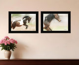 Set Of Two A Wild Kookie 2 Black Framed Print Wall Art - Homeroots - Flyclothing LLC