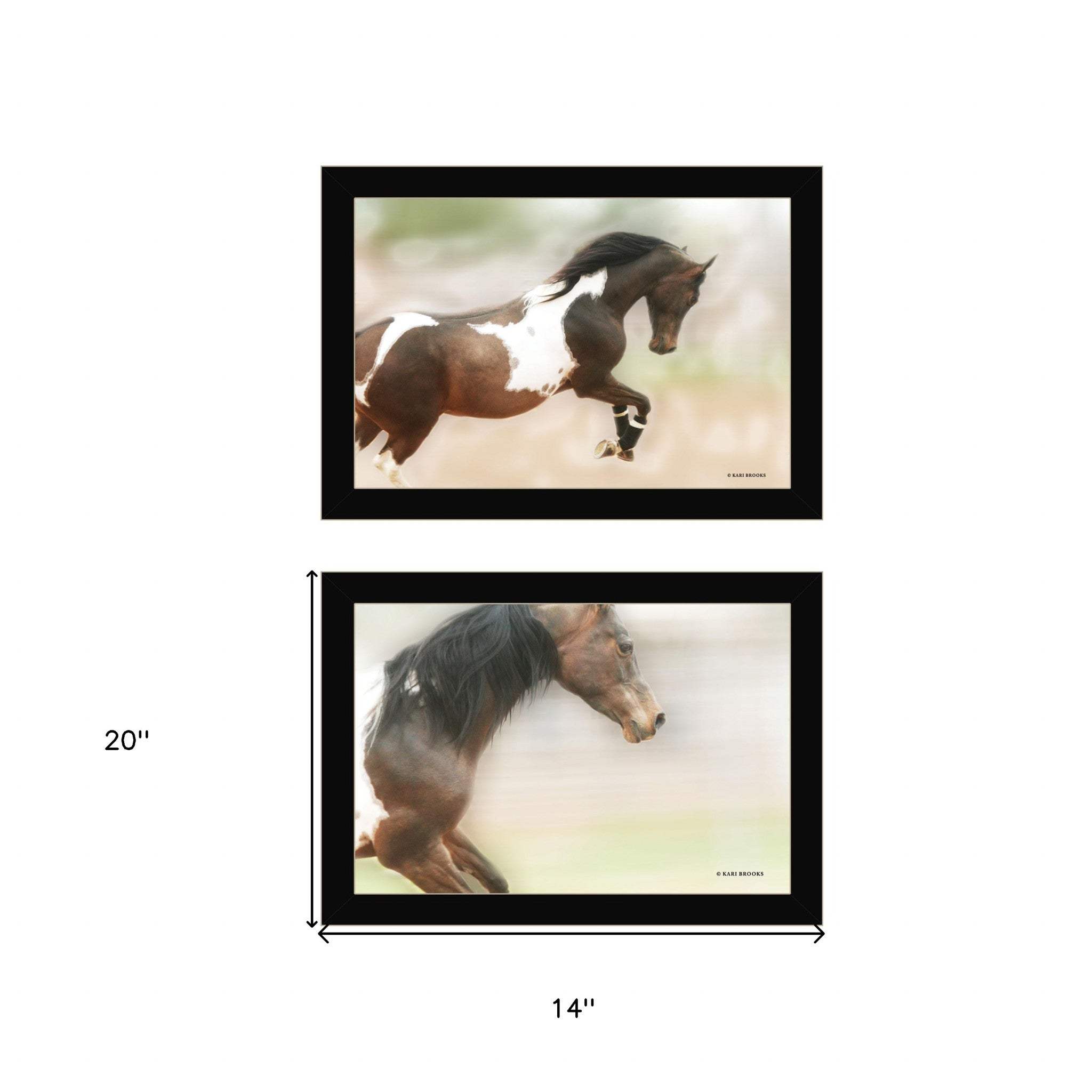 Set Of Two A Wild Kookie 3 Black Framed Print Wall Art - Homeroots - Flyclothing LLC