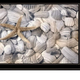Set Of Two Cape Hatteras Lighthouse and Sea Shells 4 Black Framed Print Wall Art - Homeroots - Flyclothing LLC