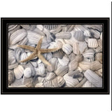 Set Of Two Cape Hatteras Lighthouse and Sea Shells 4 Black Framed Print Wall Art - Homeroots - Flyclothing LLC