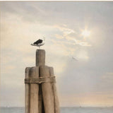 Set Of Two By The Sea White Framed Print Wall Art - Homeroots - Flyclothing LLC