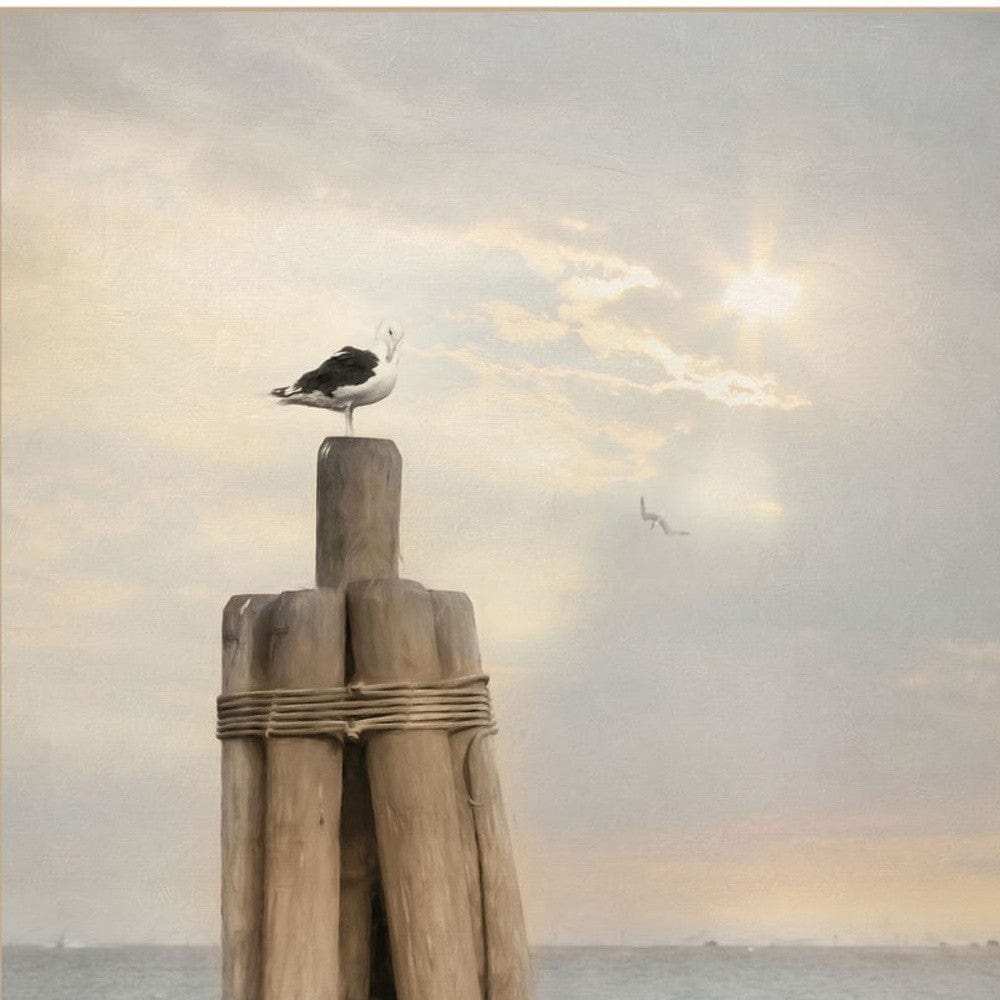 Set Of Two By The Sea White Framed Print Wall Art - Homeroots - Flyclothing LLC