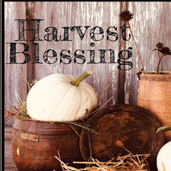 Harvest Blessings 2 Black Framed Print Kitchen Wall Art - Homeroots