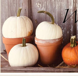 Welcome Pumpkin Shelf 1 White Framed Print Wall Art - Homeroots - Flyclothing LLC