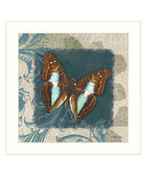 Swirl Butterfly White Framed Print Wall Art - Homeroots - Flyclothing LLC