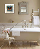 Swirl Butterfly II White Framed Print Wall Art - Homeroots - Flyclothing LLC