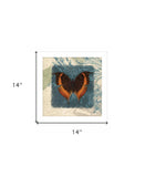 Swirl Butterfly II White Framed Print Wall Art - Homeroots - Flyclothing LLC