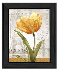 Golden Flower Black Framed Print Wall Art - Homeroots