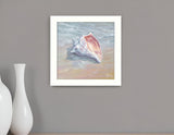 Whelk White Framed Print Wall Art - Homeroots