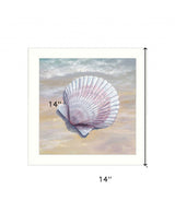 Scallop White Framed Print Wall Art - Homeroots - Flyclothing LLC