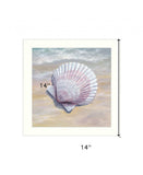 Scallop White Framed Print Wall Art - Homeroots - Flyclothing LLC