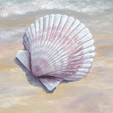 Scallop White Framed Print Wall Art - Homeroots