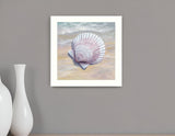 Scallop White Framed Print Wall Art - Homeroots