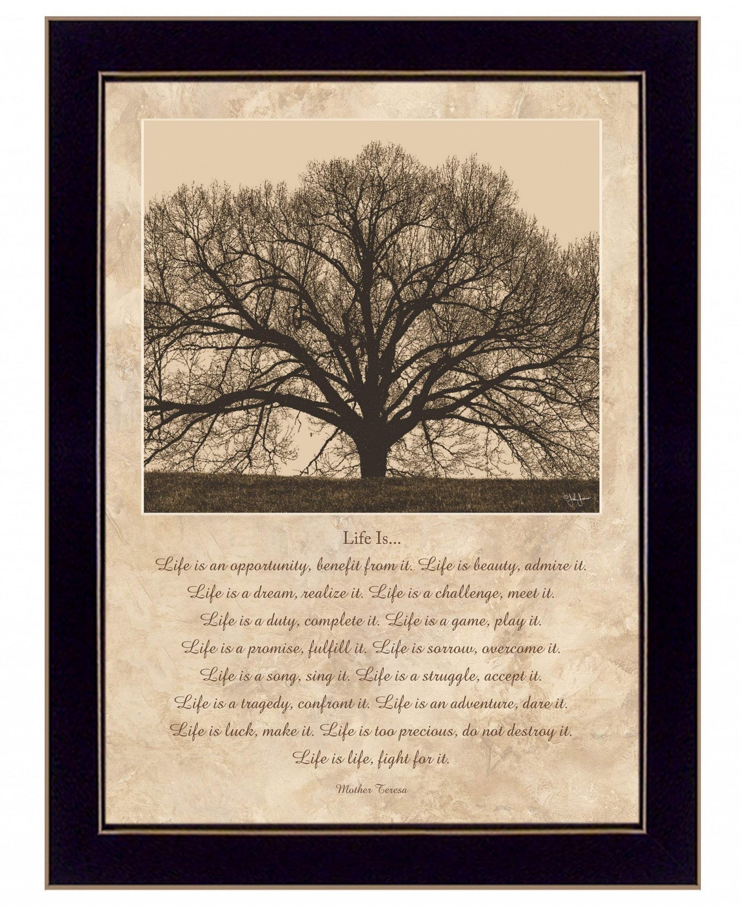 Life Is 8 Black Framed Print Wall Art - Homeroots - Flyclothing LLC