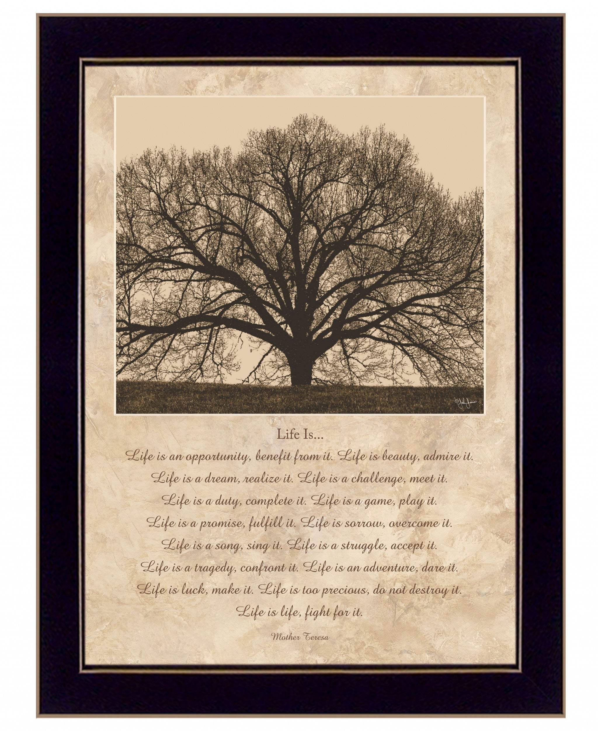 Life Is 8 Black Framed Print Wall Art - Homeroots - Flyclothing LLC