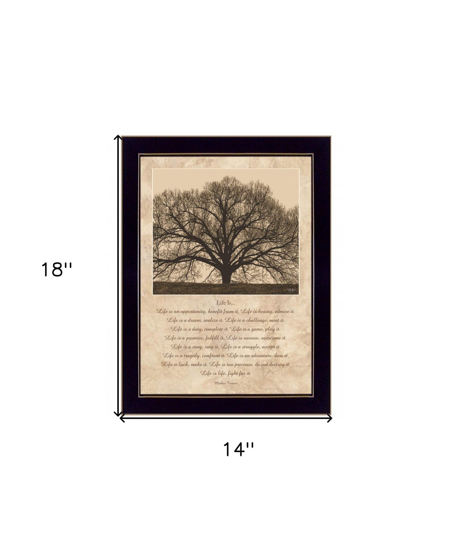 Life Is 8 Black Framed Print Wall Art - Homeroots - Flyclothing LLC