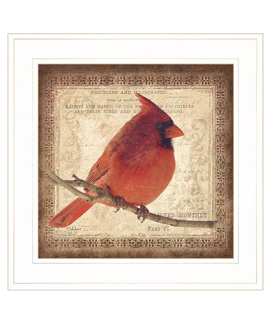 Male Cardinal 1 White Framed Print Wall Art - Homeroots
