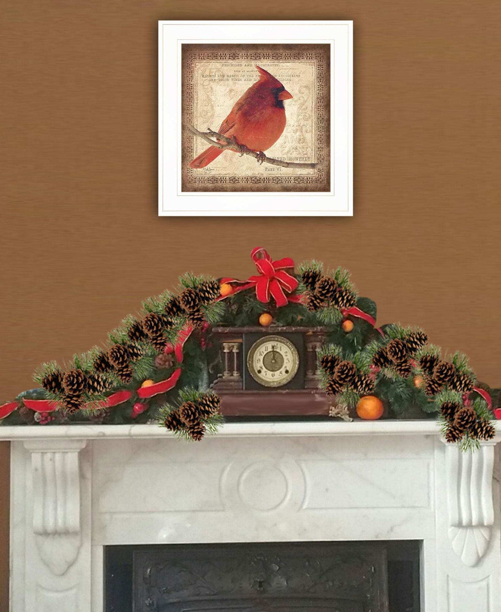 Male Cardinal 1 White Framed Print Wall Art - Homeroots - Flyclothing LLC