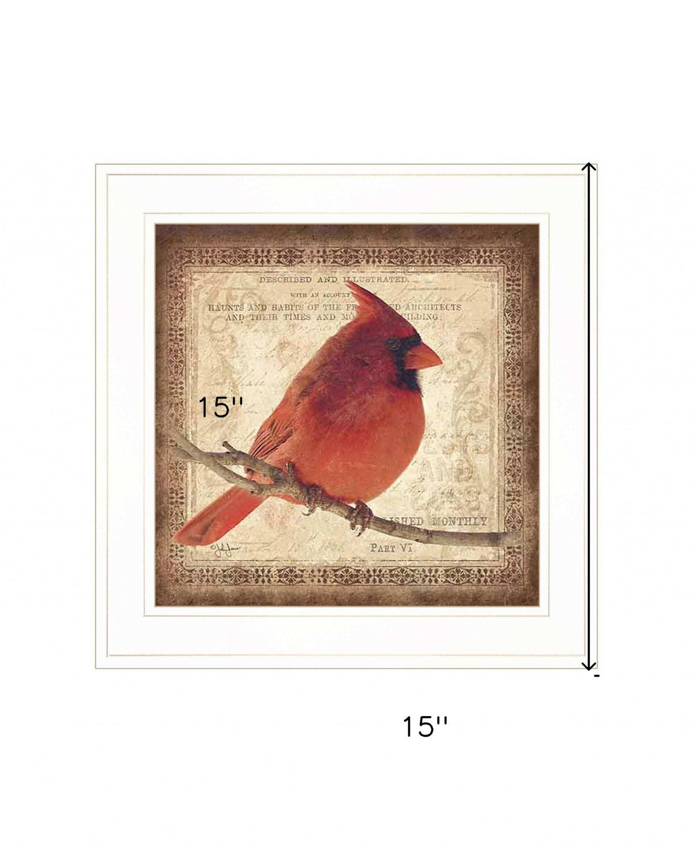 Male Cardinal 1 White Framed Print Wall Art - Homeroots - Flyclothing LLC