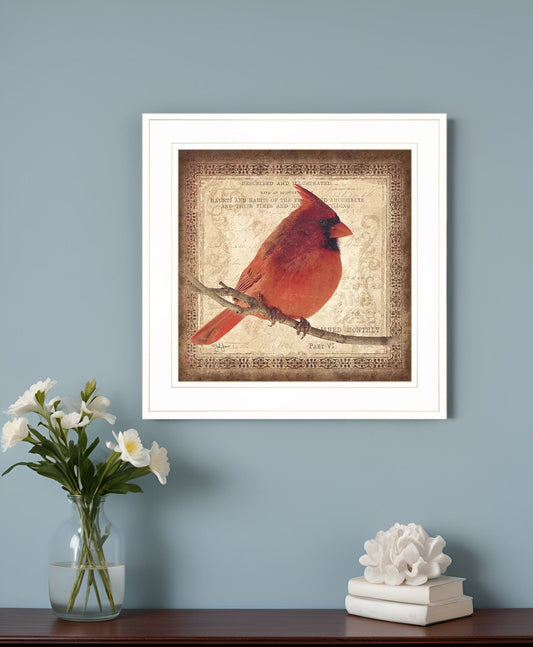 Male Cardinal 1 White Framed Print Wall Art - Homeroots