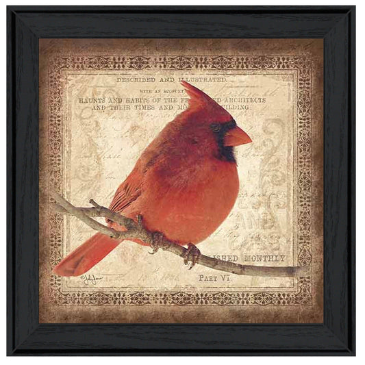 Male Cardinal 2 Black Framed Print Wall Art - Homeroots