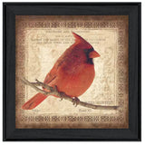 Male Cardinal 2 Black Framed Print Wall Art - Homeroots
