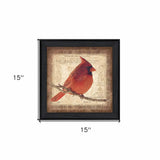 Male Cardinal 2 Black Framed Print Wall Art - Homeroots - Flyclothing LLC