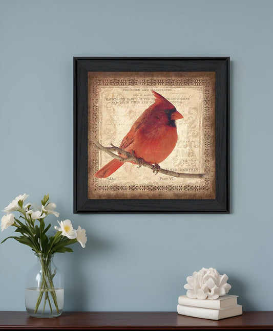 Male Cardinal 2 Black Framed Print Wall Art - Homeroots