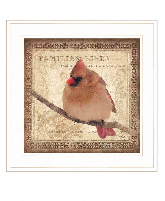 Female Cardinal 1 White Framed Print Wall Art - Homeroots