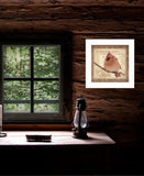 Female Cardinal 1 White Framed Print Wall Art - Homeroots