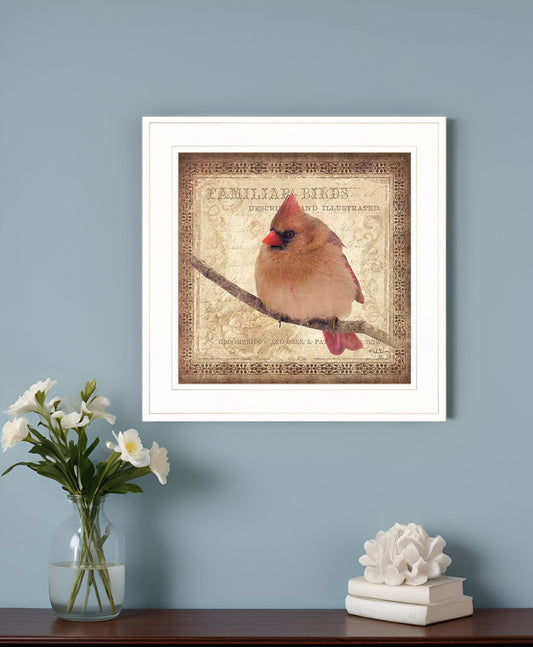 Female Cardinal 1 White Framed Print Wall Art - Homeroots