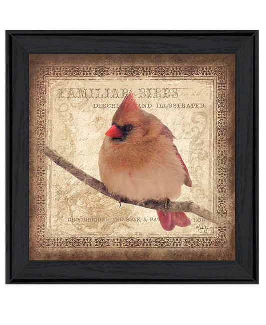 Female Cardinal 2 Black Framed Print Wall Art - Homeroots