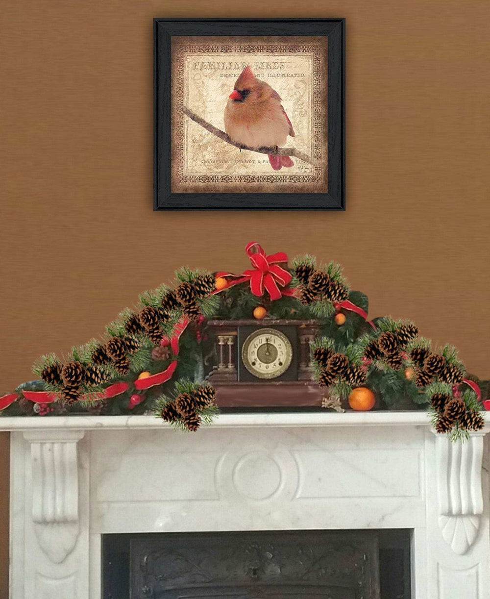Female Cardinal 2 Black Framed Print Wall Art - Homeroots - Flyclothing LLC