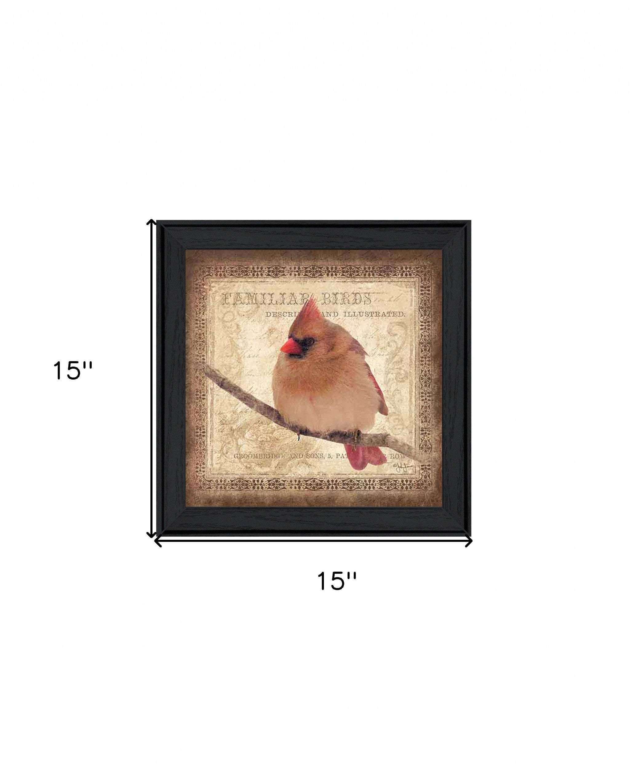 Female Cardinal 2 Black Framed Print Wall Art - Homeroots - Flyclothing LLC