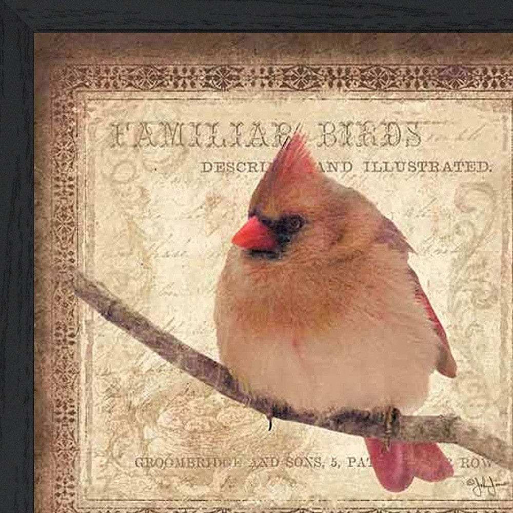 Female Cardinal 2 Black Framed Print Wall Art - Homeroots - Flyclothing LLC